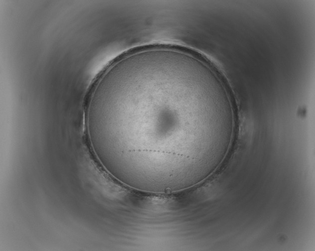 X0000111801271200907301200