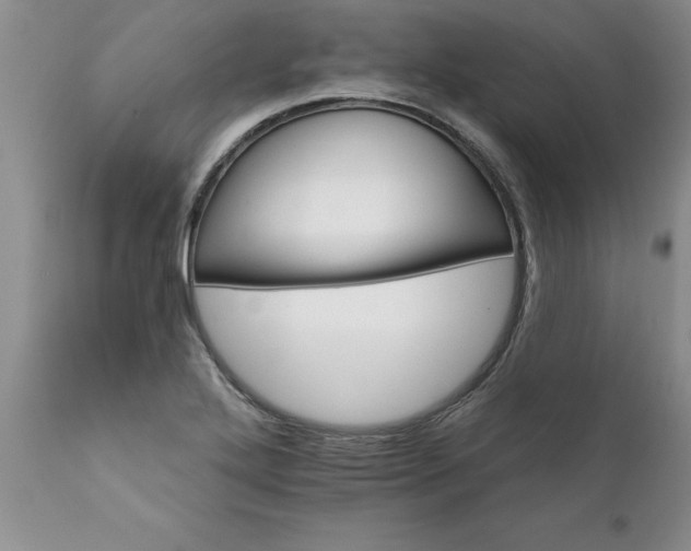 X0000111801272200907301200