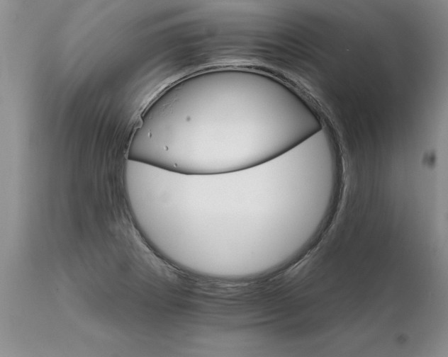 X0000111801273200907301200