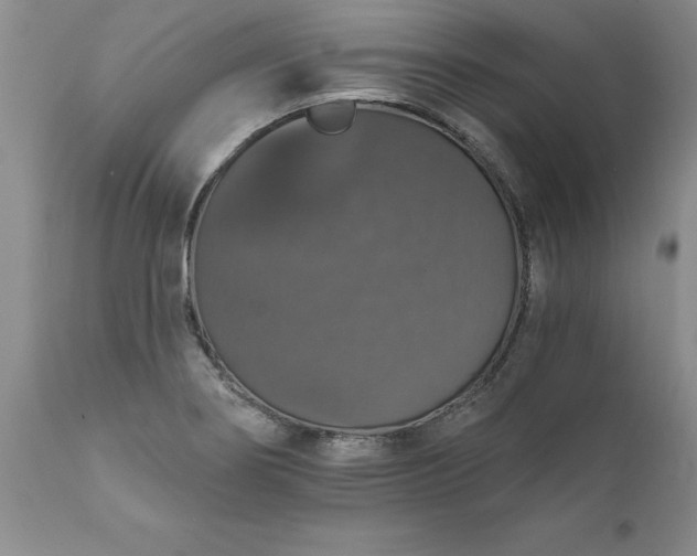 X0000111801274200907301200