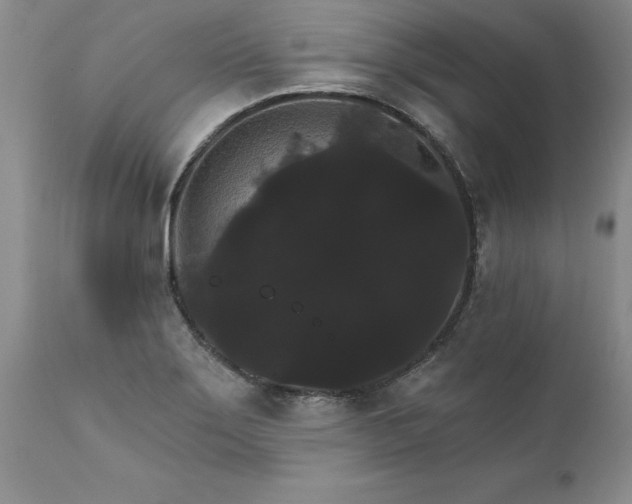 X0000111801275200907301200