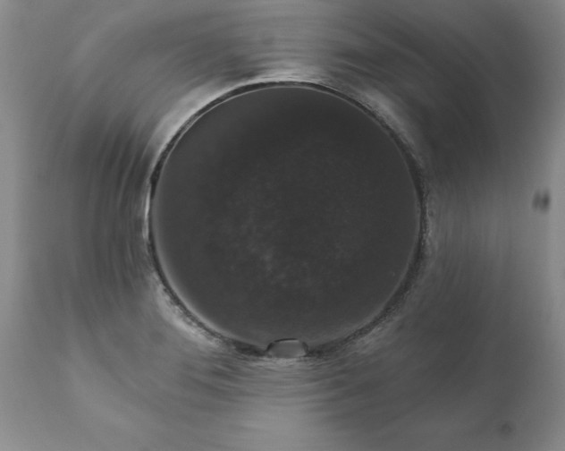 X0000111801276200907301200