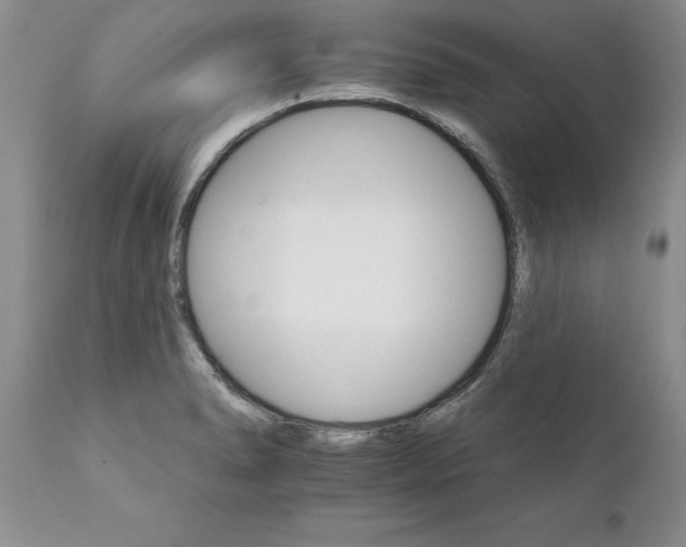 X0000111801278200907301200