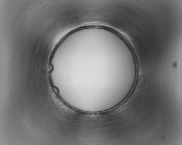 X0000111801279200907301200