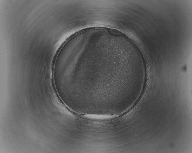 X0000111801280200907301200