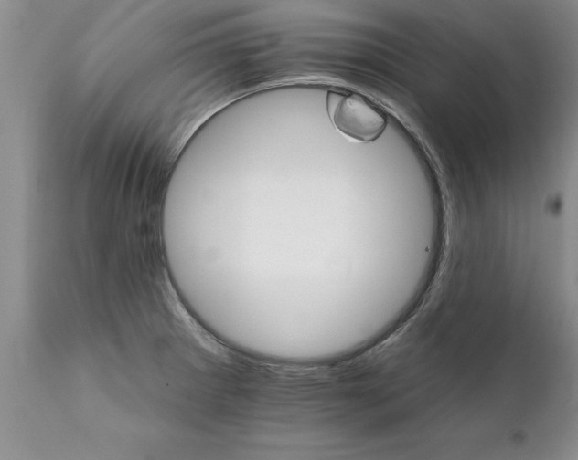 X0000111801281200907301200