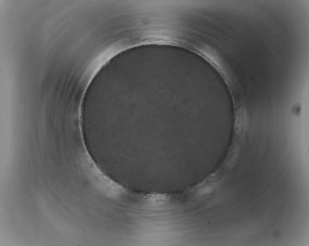 X0000111801283200907301200