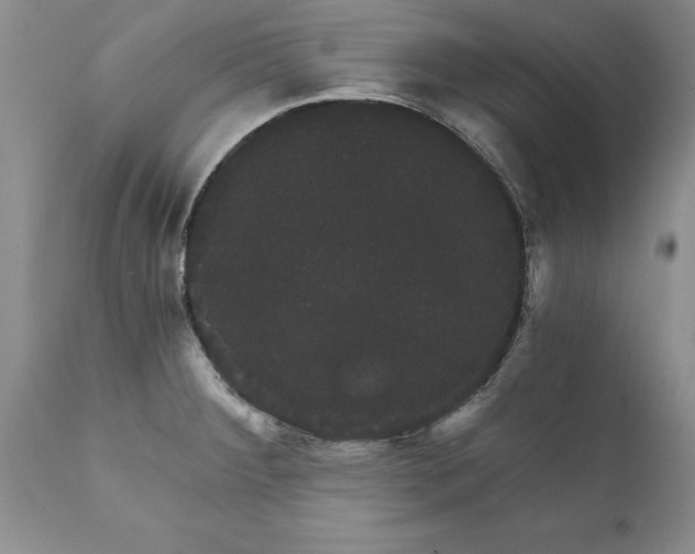 X0000111801284200907301200
