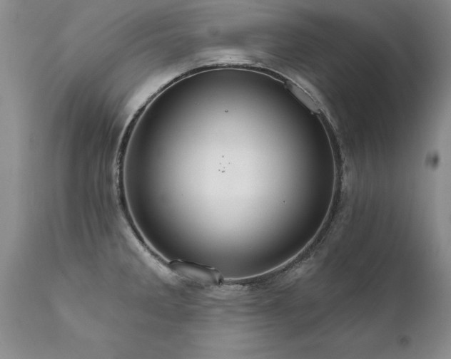 X0000111801285200907301200
