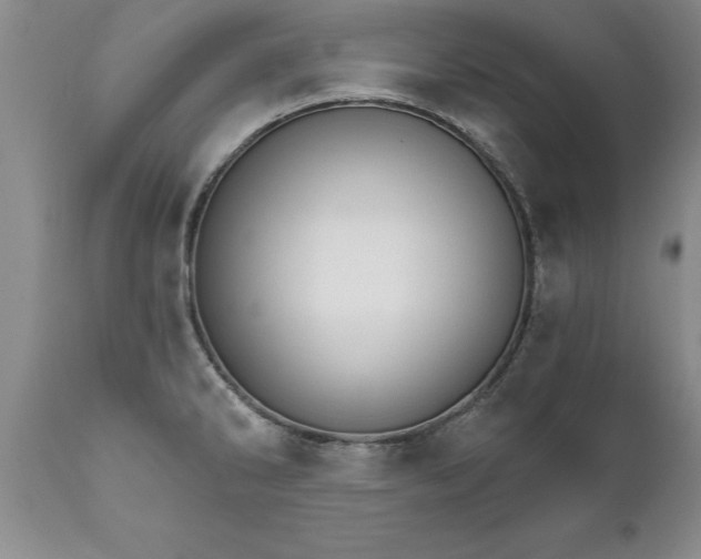 X0000111801286200907301200