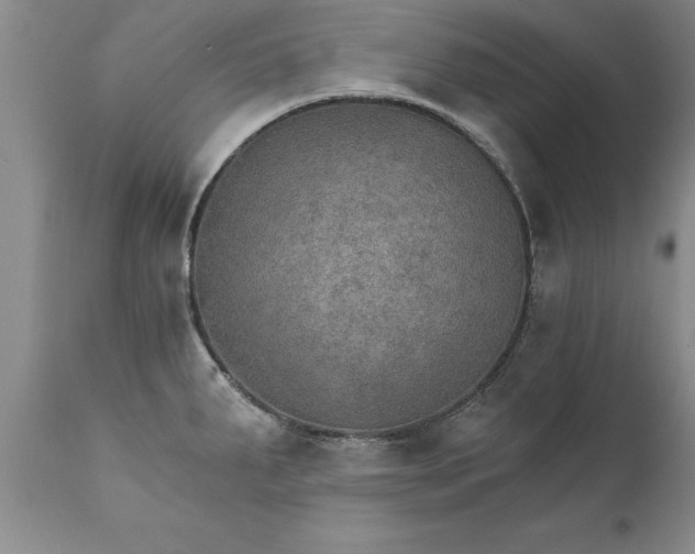 X0000111801287200907301200