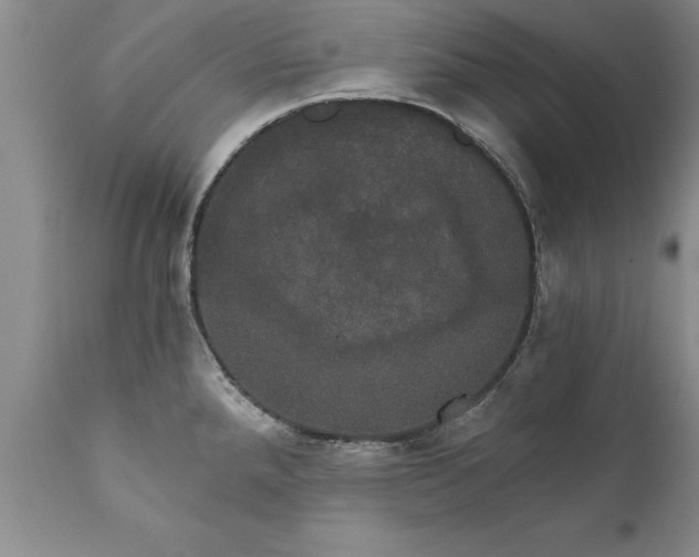 X0000111801288200907301200