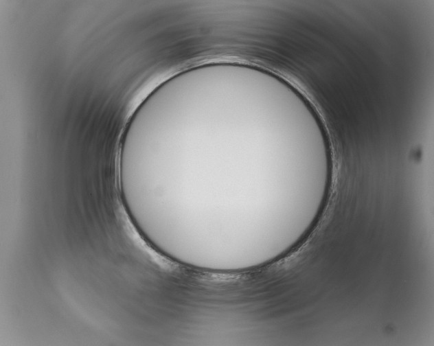 X0000111801290200907301200