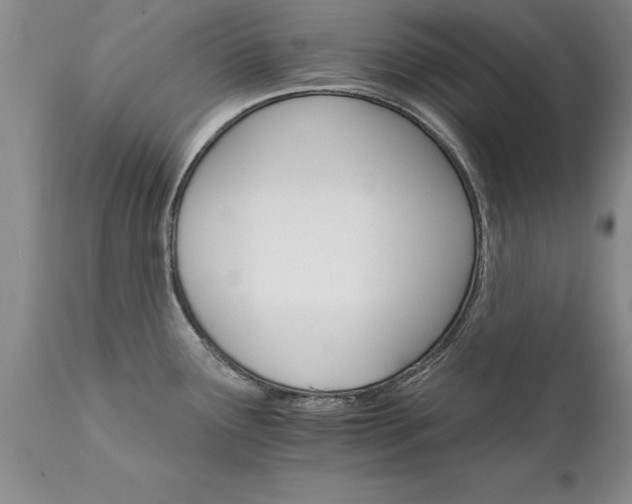 X0000111801291200907301200