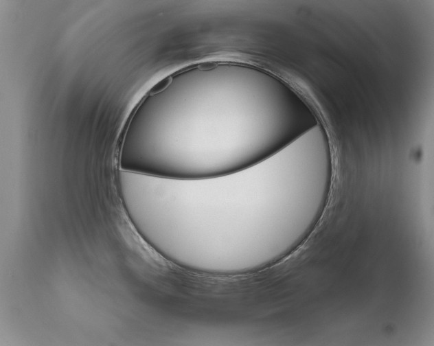X0000111801292200907301200