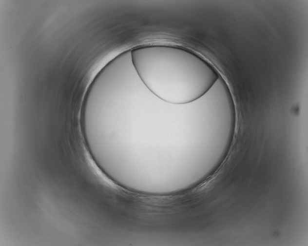 X0000111801293200907301200