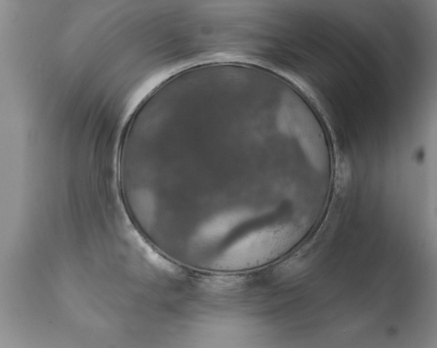 X0000111801294200907301200