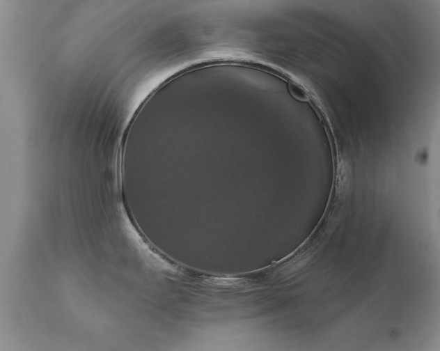 X0000111801295200907301200