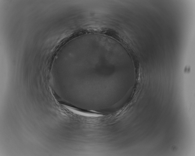 X0000111801297200907301159