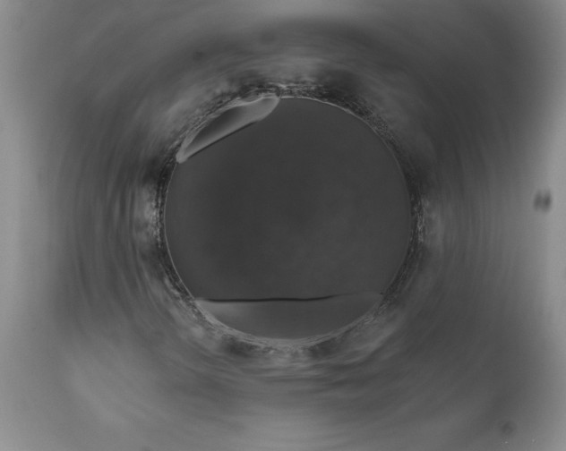 X0000111801298200907301159