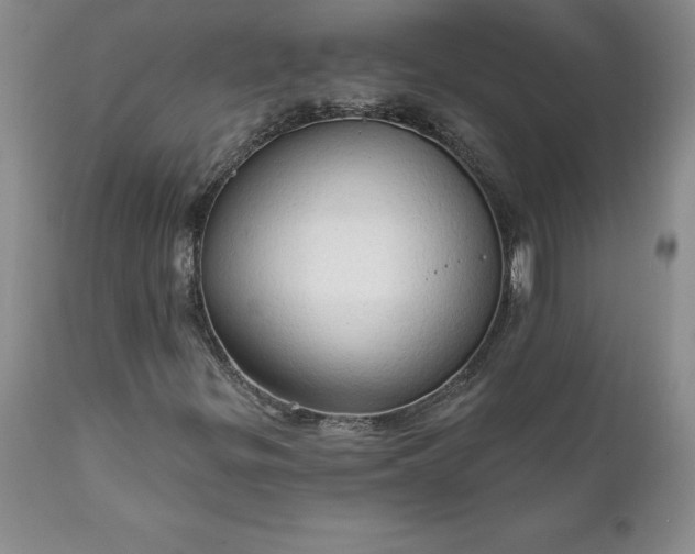 X0000111801299200907301159