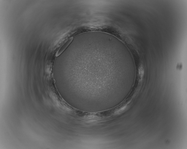 X0000111801300200907301159