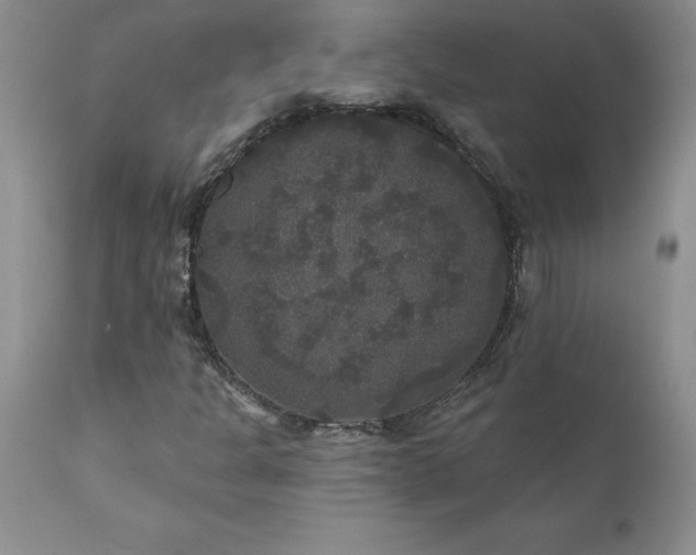 X0000111801301200907301159
