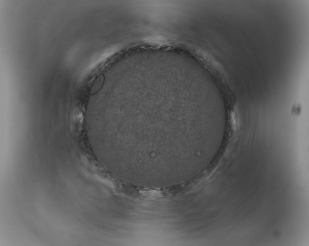 X0000111801302200907301159