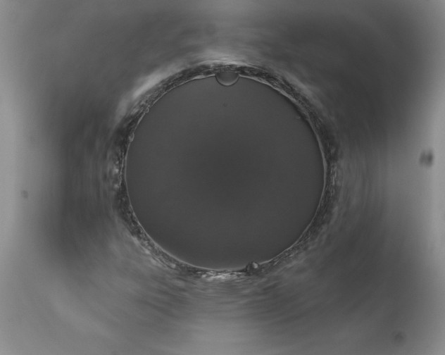 X0000111801303200907301159