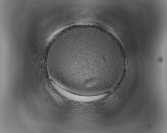X0000111801304200907301159