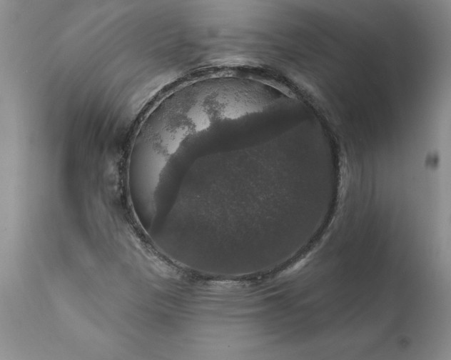 X0000111801305200907301159