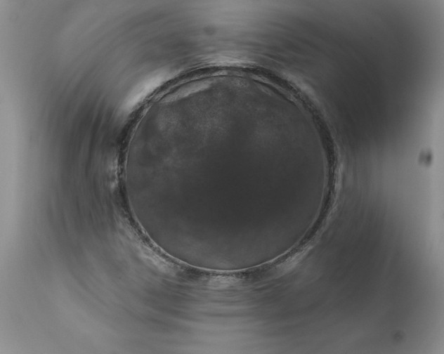 X0000111801306200907301159