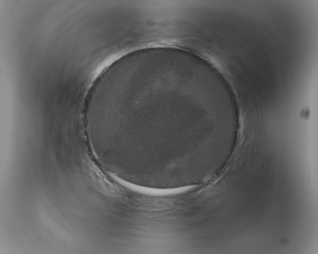 X0000111801308200907301159