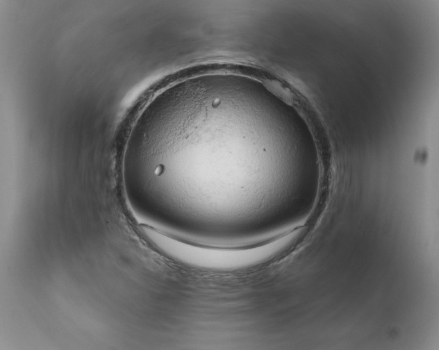 X0000111801310200907301159
