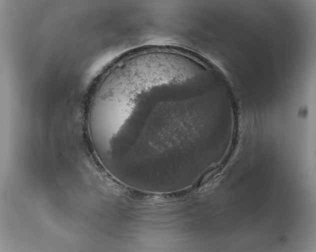 X0000111801311200907301159