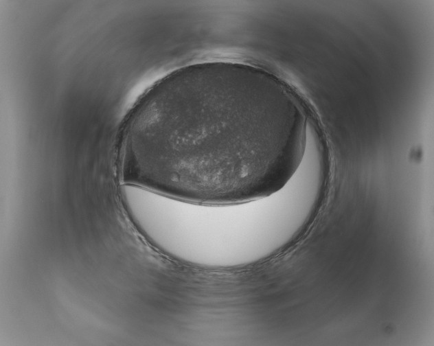 X0000111801312200907301159