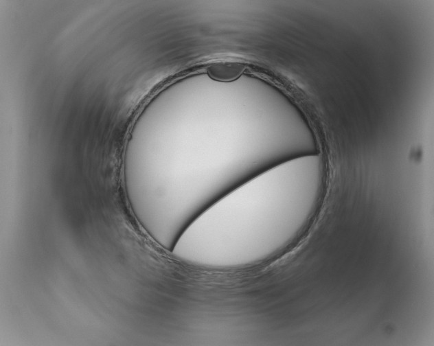 X0000111801313200907301159