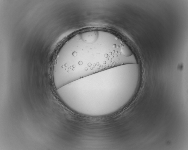 X0000111801315200907301159