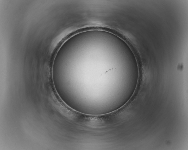 X0000111801318200907301159