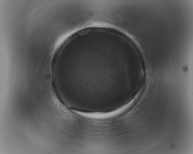 X0000111801319200907301159