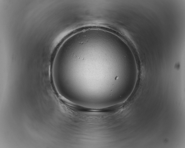 X0000111801320200907301159