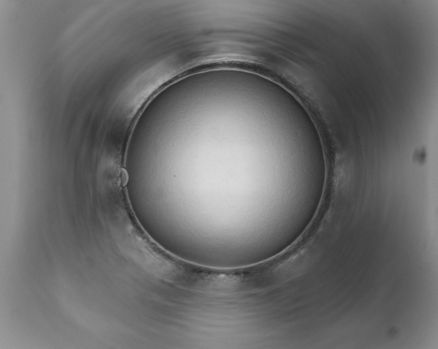 X0000111801321200907301159