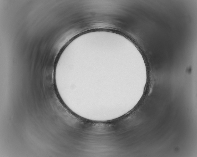 X0000111801322200907301159