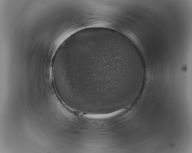 X0000111801324200907301200