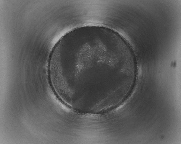 X0000111801325200907301200