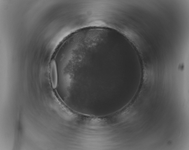 X0000111801326200907301200