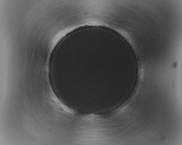 X0000111801327200907301200