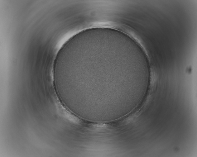 X0000111801328200907301200