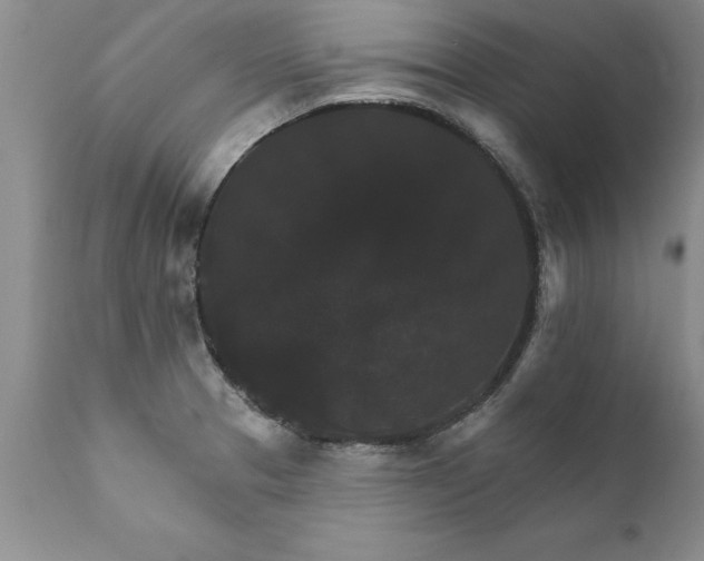 X0000111801329200907301200