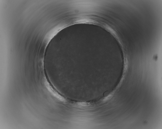 X0000111801330200907301200